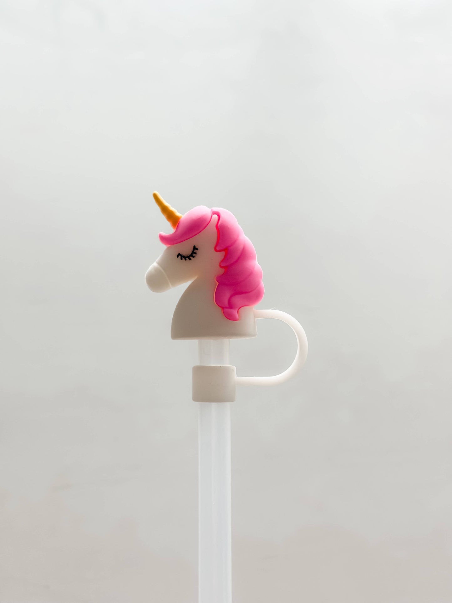 Straw Cover Unicorn