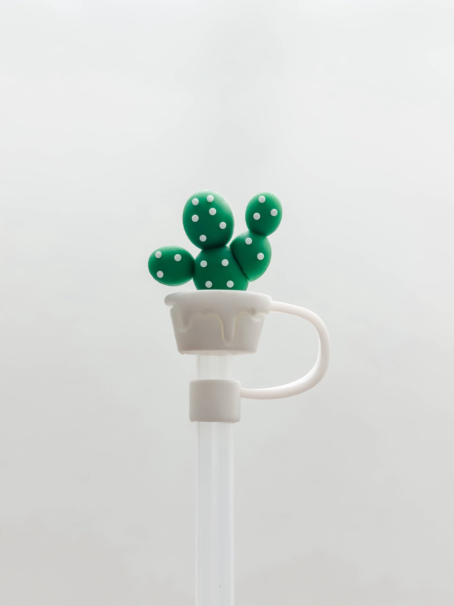 Straw Cover Green Cactus