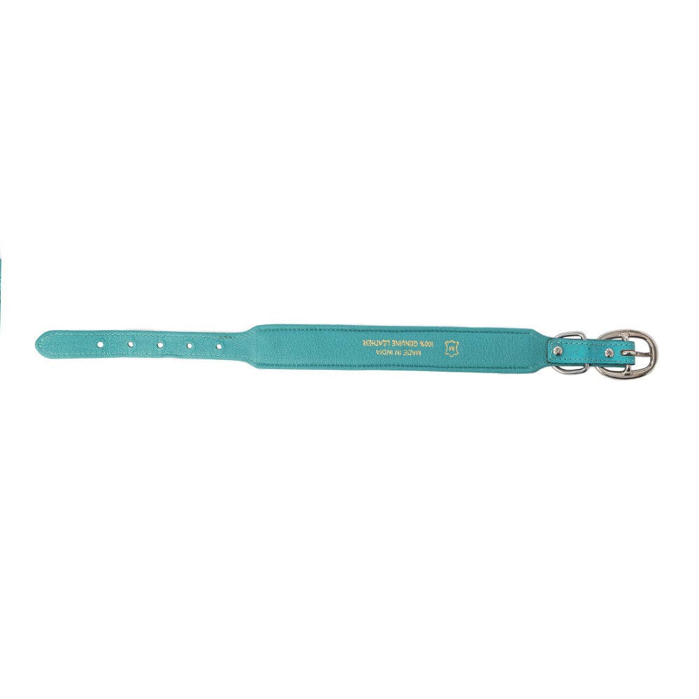 Turquoise Sky Southwest Dog Collar